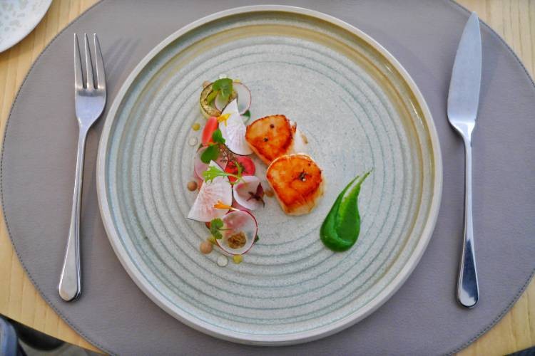 Saint-Jacques radis, concombre et pamplemousse